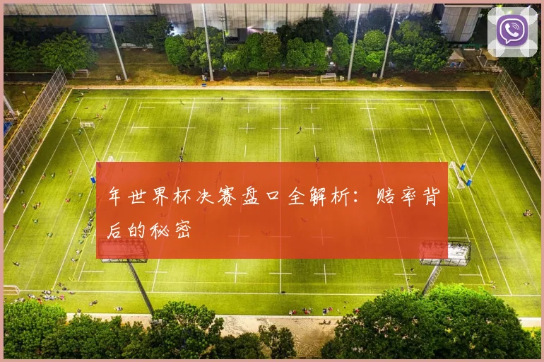 年世界杯决赛盘口全解析：赔率背后的秘密