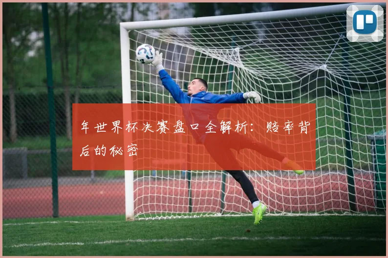 年世界杯决赛盘口全解析：赔率背后的秘密