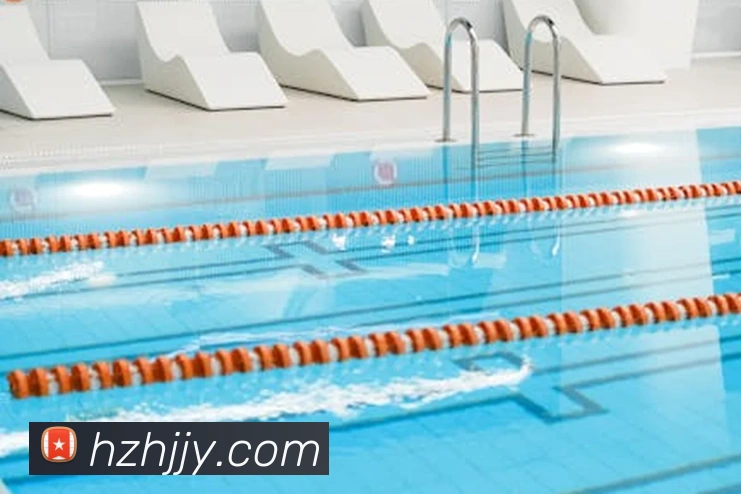 App Interface Preview